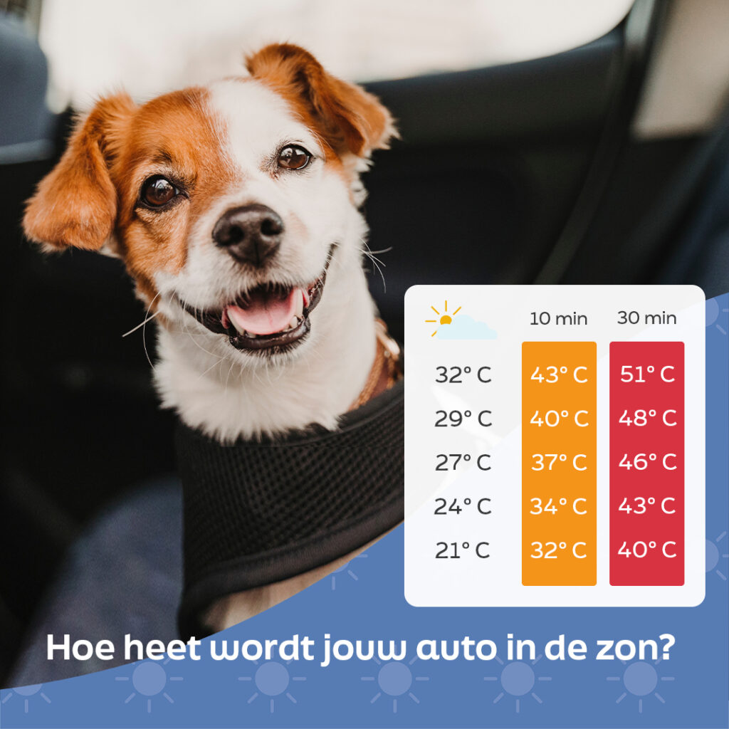 Hitte in de auto